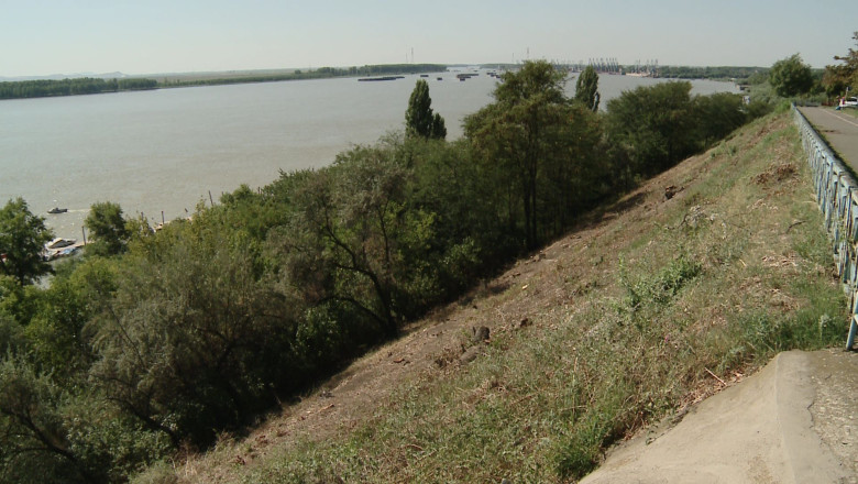 Defrisari ilegale pe malul Dunarii Imagine