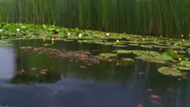 Delta Dunarii, o atractie turistica insuficient exploatata Imagine