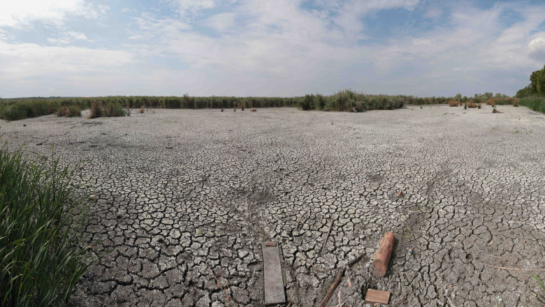 Delta Neajlovului a secat aproape complet. Presedintele CJ Giurgiu spune ca a vrut sa faca investitii dar n-a gasit specialisti si bani Imagine