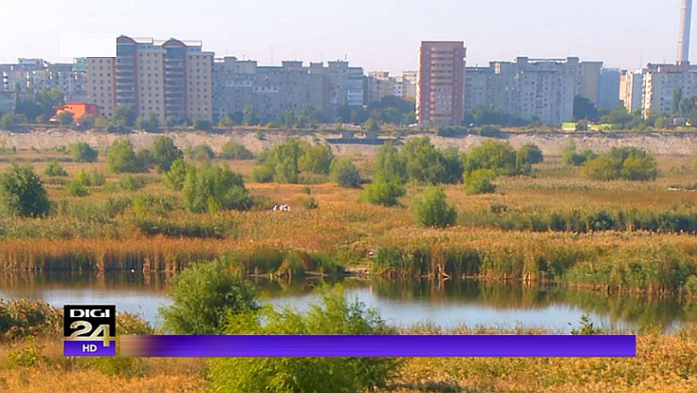 Delta Urbana Vacaresti: Voluntarii Let's Do It, Romania au strans gunoaiele din oaza de verdeata de la marginea Capitalei Imagine