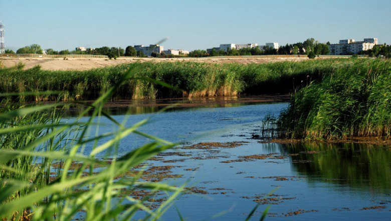 Delta Vacaresti ar trebui sa devina arie protejata. Mostenitorii proprietarilor cer insa sa li se elibereze titlurile de proprietate  Imagine