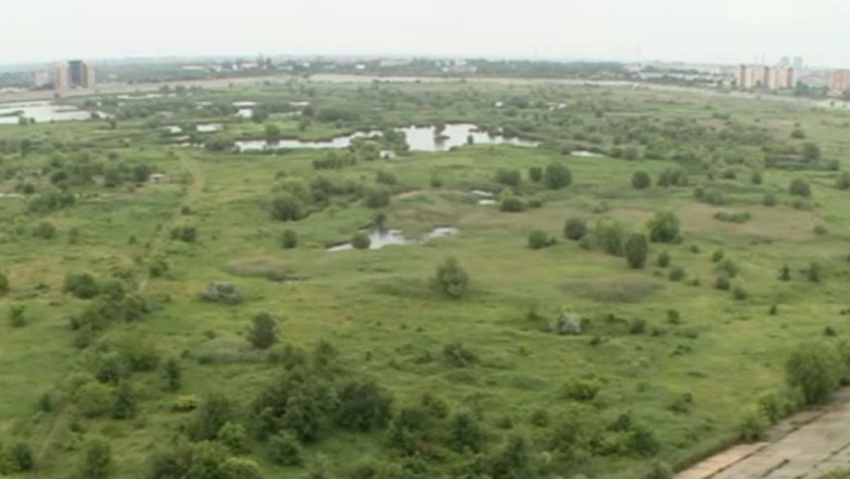 Delta Vacaresti devine arie naturala protejata. A fost inaugurat un punct de observatie a zonei Imagine