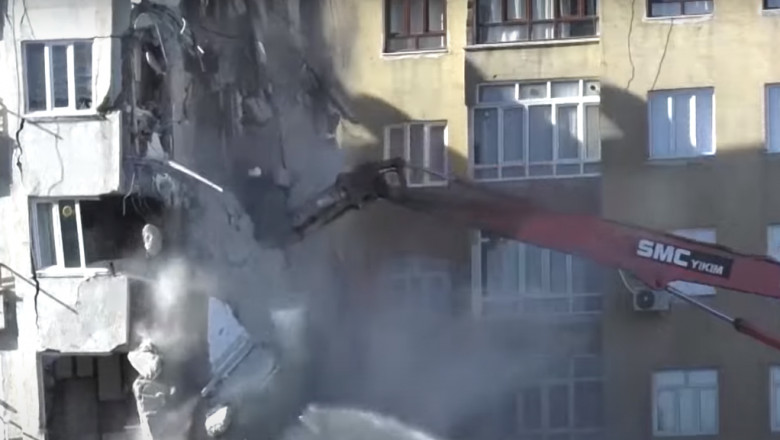 Demolare oprita dupa ce s-a cerut salvarea unor animale blocate: In ce fel de tara traim? Acestea sunt vieti, nu le puteti distruge asa Imagine