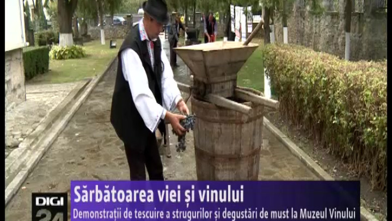 Demonstratii de tescuire a strugurilor si degustari de must la Sarbatoarea vinului de la Harlau Imagine