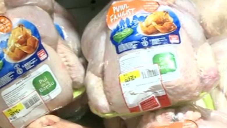 Depozit clandestin in sectorul 6. Carne de pui depozitata printre gunoaie Imagine