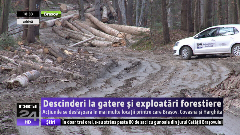  Descinderi la gatere si exploatari forestiere Imagine