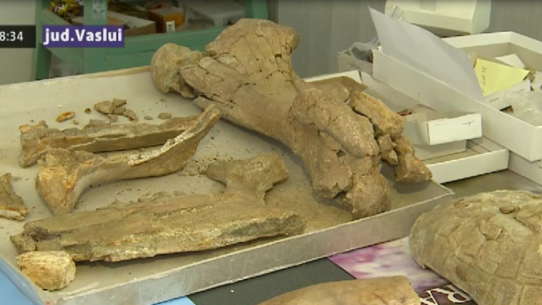 Descoperire arheologica unica in Europa de Est, intr-o comuna din judetul Vaslui Imagine