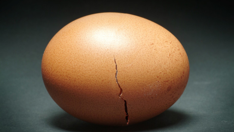 Descoperire incredibila. Un ou din perioada romana inca contine lichid in interior Imagine