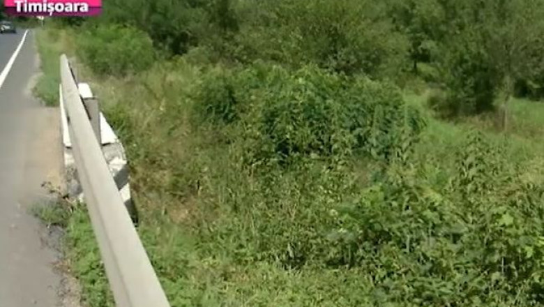 Descoperire ingrozitoare intr-o padure in apropiere de Lipova. Cadavru incendiat, aruncat in rapa Imagine