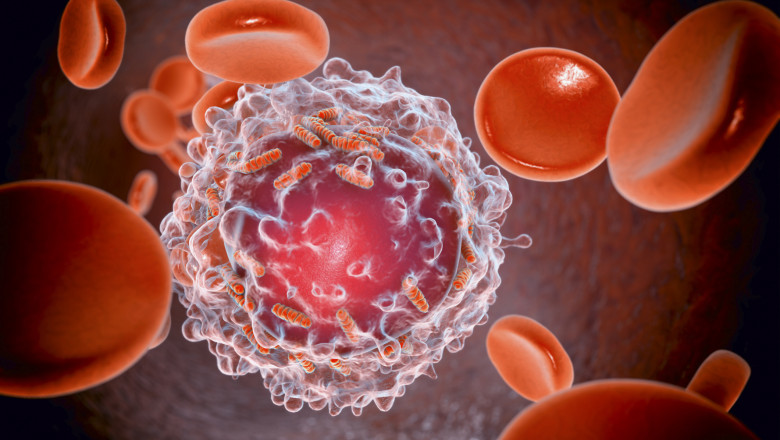 Descoperire majora: cercetatorii au reusit sa elimine complet leucemia in modele preclinice Imagine