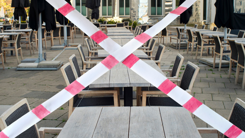 Descoperire socanta intr-un restaurant din Madrid: porumbei de pe strada, serviti in loc de rata. Politia a deschis ancheta Imagine