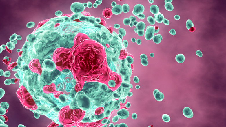 Descoperirea care „antreneaza” sistemul imunitar sa atace cancerul si sa se vindece Imagine