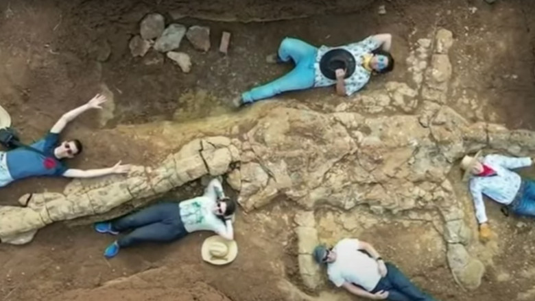 Descoperirea fosilei unui monstru marin care a trait acum 100 de milioane de ani va revolutiona studiul preistoriei Imagine