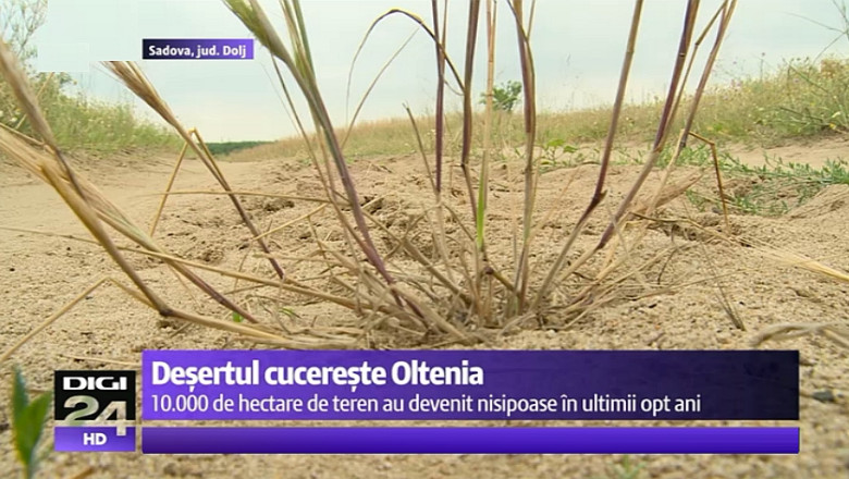 Desertificarea sudului Romaniei. O treime din terenul arabil din Dolj este arid. Solutia fermierilor: kiwi, arahide, cartoful chinezesc Imagine