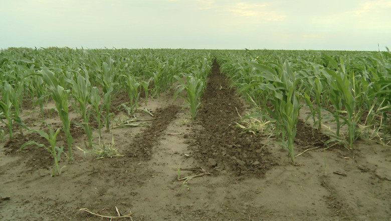 Despagubiri pentru agricultori Imagine
