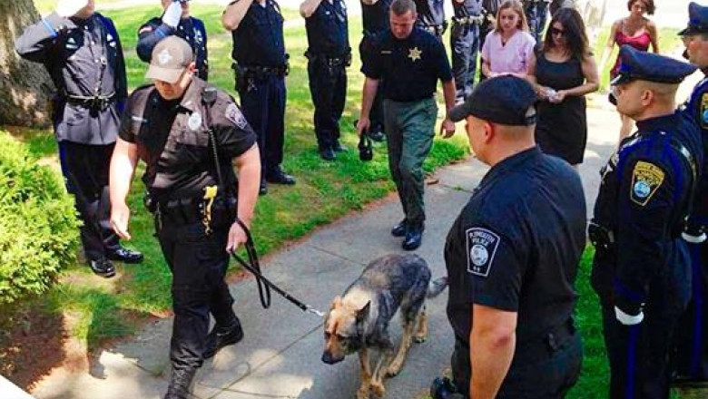 Despartire emotionanta: Zeci de politisti au condus pe ultimul drum un caine din brigada canina din Massachussetts Imagine