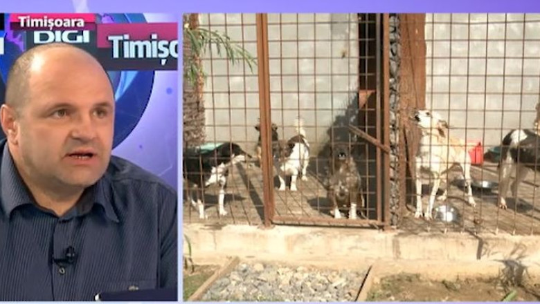 Despre regulamentul maidanezilor, cu Adrian Bere, directorul Directiei de Mediu din cadrul Primariei Timisoara Imagine