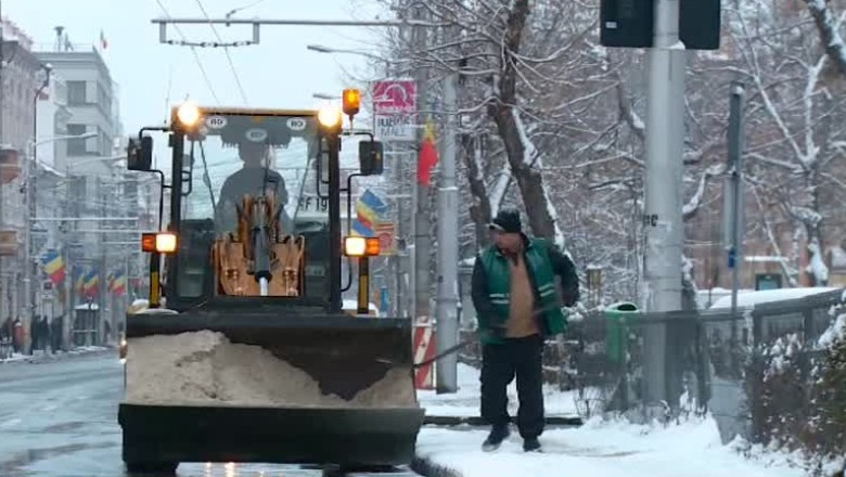 Deszapezire cu ajutorul asistatilor social la Cluj Napoca Imagine