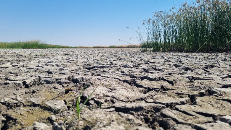 Dezastru ecologic in Oltenia: Lacul Bistret s-a transformat din comoara piscicola in teren arid Imagine