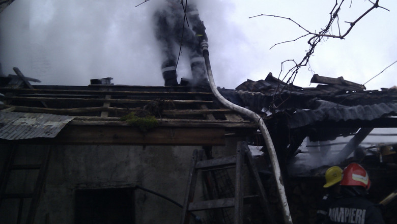 Dezastru la o ferma de animale din Satu Mare. 4.000 de porci au murit intr-un incendiu Imagine