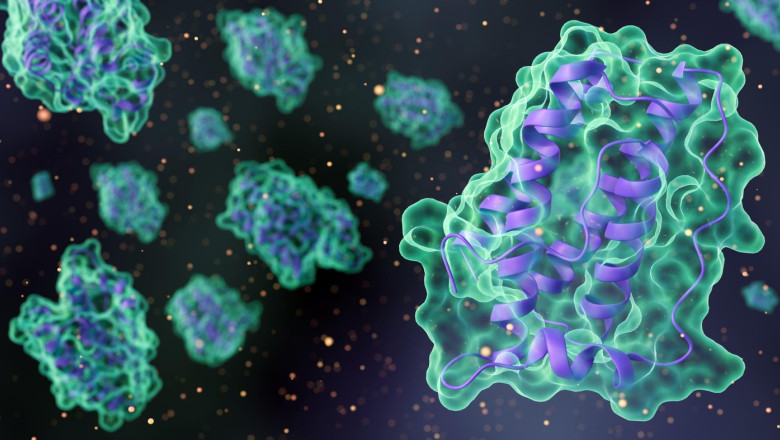 Diabetul de tip 1 ar putea fi tratat fara insulina. Cercetatorii testeaza efectele unui hormon asupra creierului Imagine