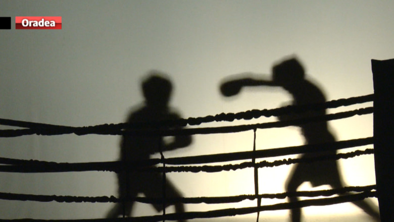 „Diamante si box" la Oradea Imagine