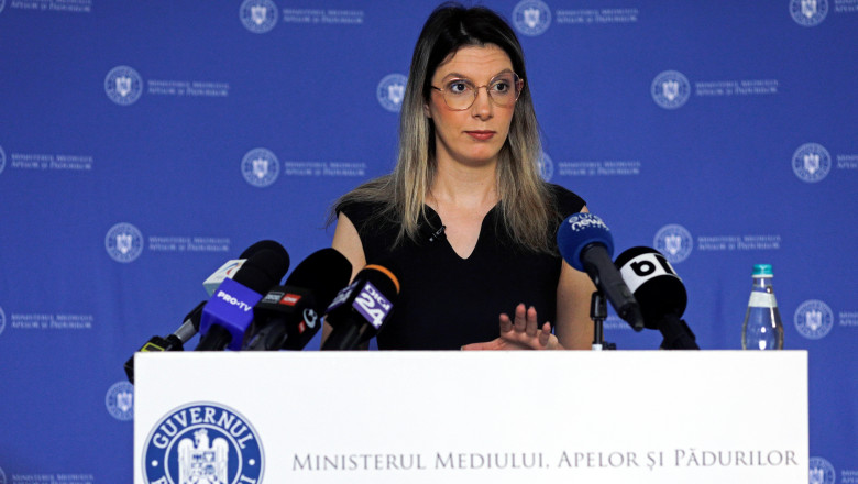 Diana Buzoianu: Romania a pierdut peste 2 miliarde de euro din fondurile PNRR pentru mediu. Cum vor fi salvate proiectele incepute Imagine