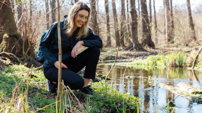 Diana Buzoianu, sesizare penala: 250.000 de puieti care trebuiau plantati, existau doar pe hartie. „Asa se fura padurile viitoare” Imagine