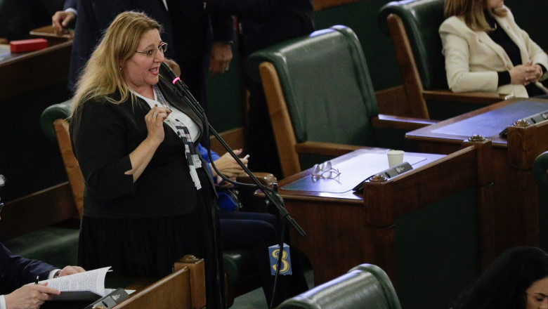 Diana Sosoaca a intrerupt sedinta secreta din Parlament unde au fost prezentate ororile comise de Hamas. Alesii au iesit vizibil socati Imagine