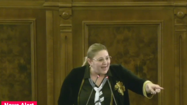 Diana Sosoaca insulta persoanele homosexuale in Senat. Scandal cu senatorii USR Imagine
