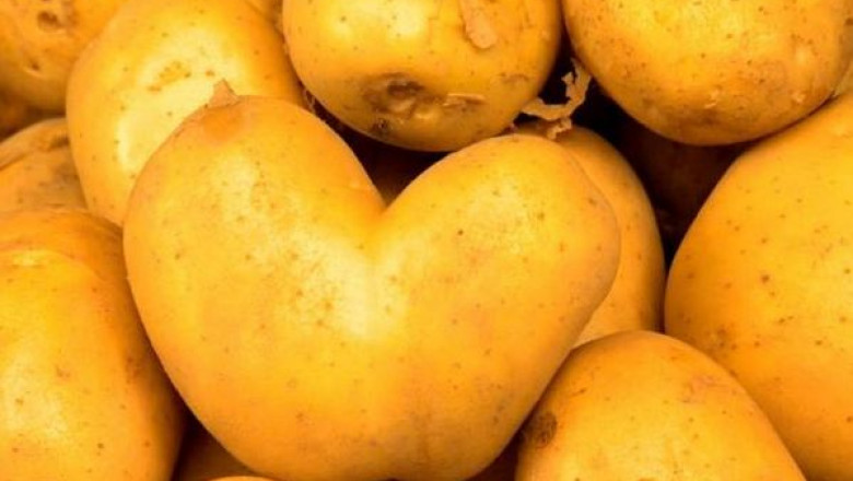 Digi Life Romania lanseaza productia proprie „Ingrediente” Imagine