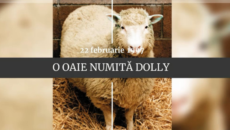 Digistoria - cele mai importante evenimente petrecute in 22 februarie Imagine