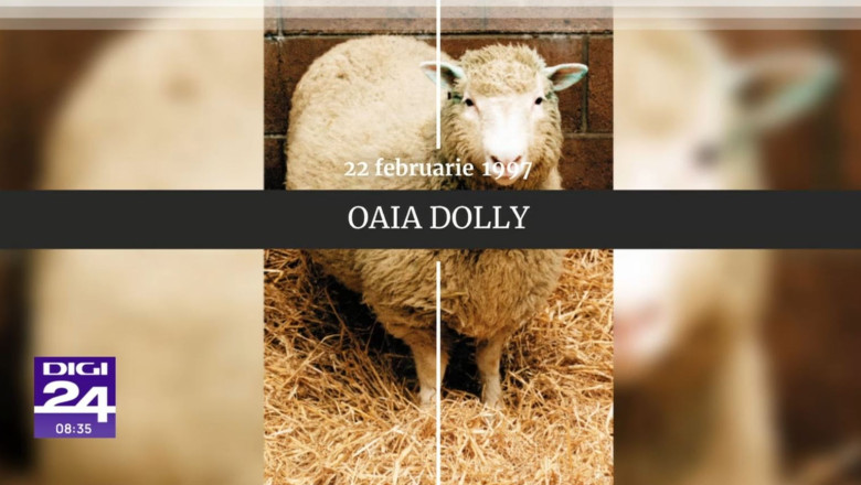 Digistoria – cele mai importante evenimente petrecute pe 22 februarie Imagine