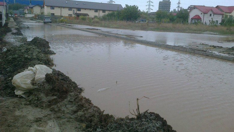 DigiVox. Aventura in Popesti-Leordeni: balti, noroi si haite de maidanezi Imagine