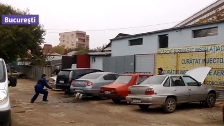 DigiVOX. Cinci echipe de ecarisaj nu reusesc sa prinda doi maidanezi Imagine