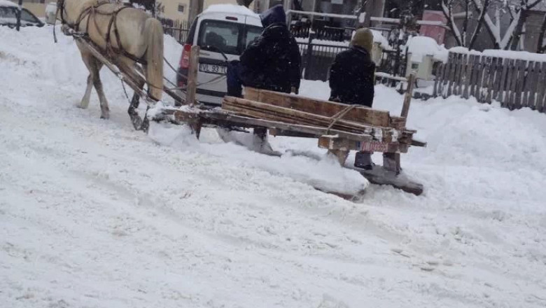 DIGIVOX. Cu sania prin Dragasani Imagine