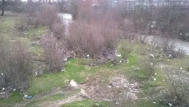 DIGIVOX. Malurile Crisului Negru, sufocate de gunoaie Imagine