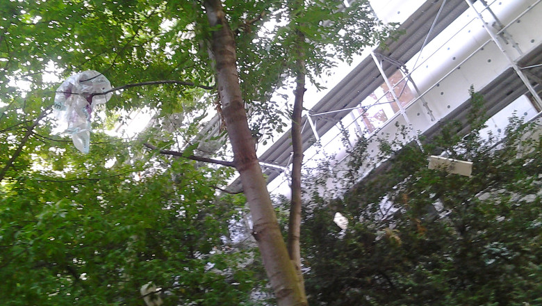 DigiVOX. Mizeria lasata in urma reabilitarii blocurilor din sectorul 4 Imagine