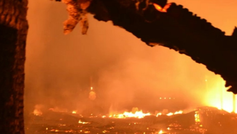 DigiVOX. Pensiune facuta scrum inainte de petrecerea de majorat Imagine