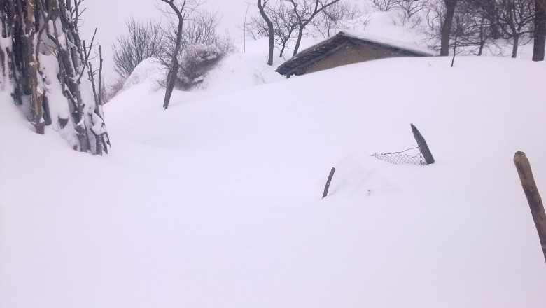 DigiVOX. Satul Budrea din judetul Buzau este izolat de mai bine de 60 de ore Imagine