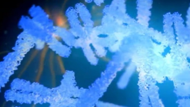 Din cauza excesului de antibiotice, bacteriile au devenit mai rezistente Imagine