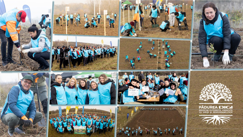Din grija pentru natura, 3.100 de copaci prind viata in "Padurea DIGI" Imagine