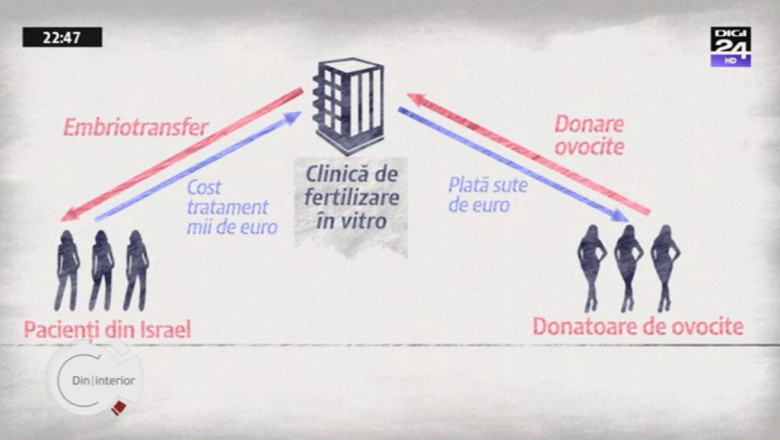 Din|interior. Cum este speculata dorinta disperata a unor oameni de a avea copii Imagine