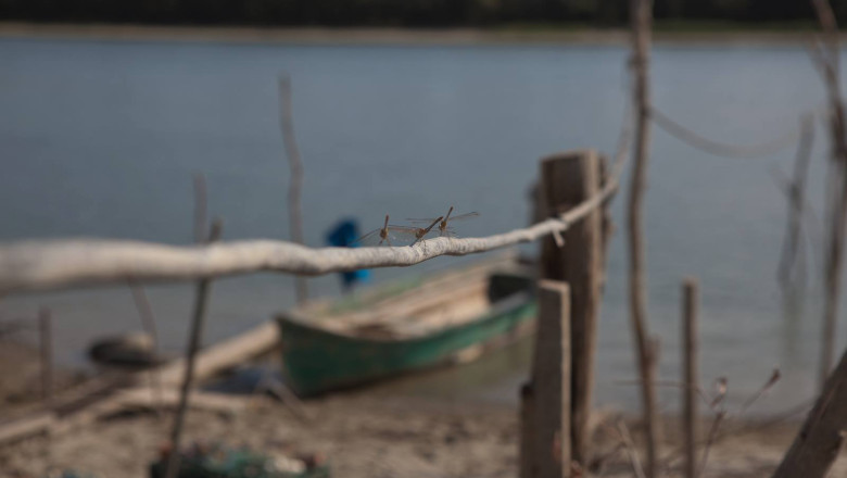 Din|interior. Dunarea, un fluviu acoperit de nepasare Imagine