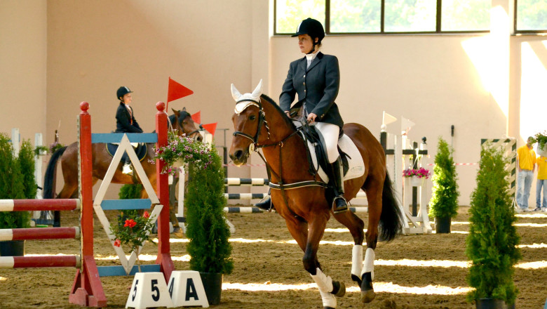 „Din|interior”. Hipismul romanesc – de la perioada cand era pe „cai mari”, la anonimatul de astazi Imagine