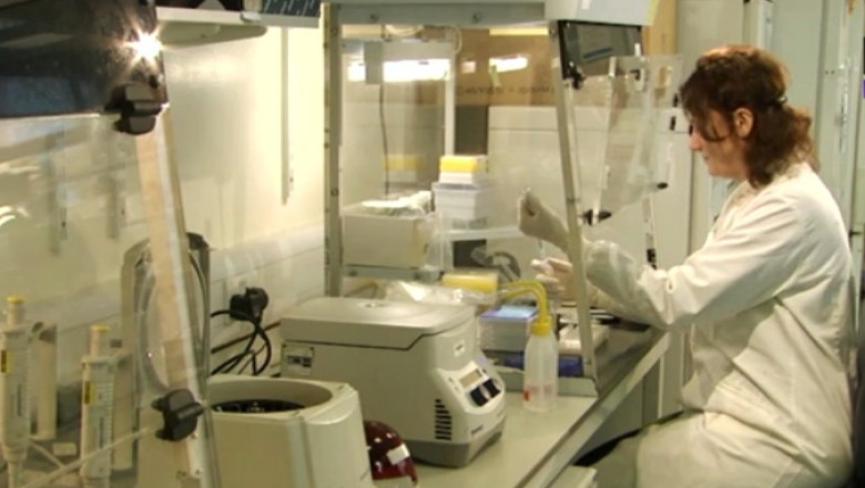 „Din|interior”. Stiinta rescrie istoria romanilor Imagine