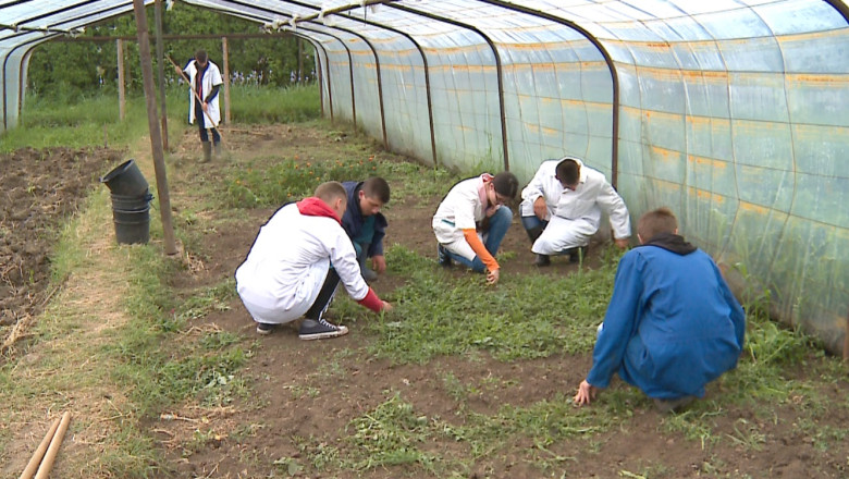 Din solarii, direct in statele UE. Elevii de la Liceul Agricol din Iasi vor primi atestate recunoscute in UE Imagine