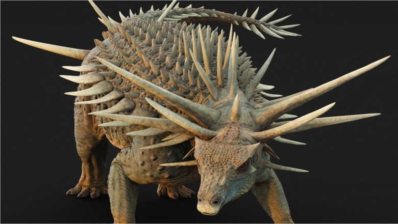 Dinozaurul punk rock: O noua specie „blindata” cu tepi uriasi si scuturi osoase a fost descoperita in Maroc Imagine