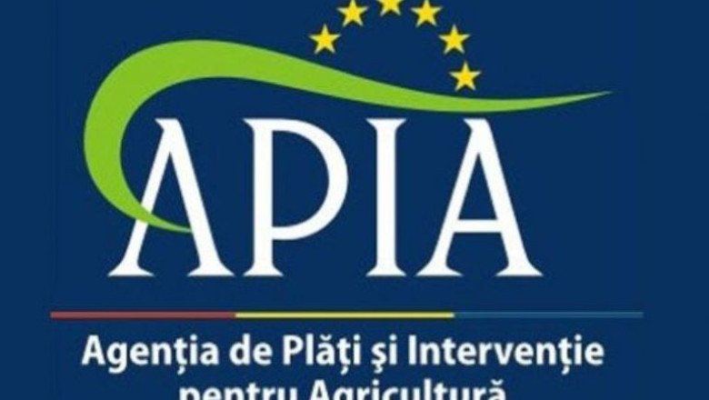 Directorul general adjunct al APIA a fost arestat preventiv pentru 29 de zile Imagine