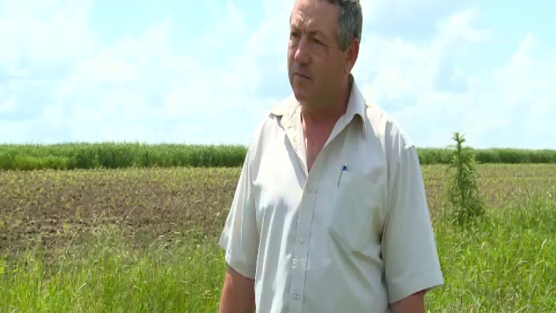 Dispar livezile din Dolj. In 20 de ani, trei sferturi din livezile din judet au fost puse la pamant Imagine